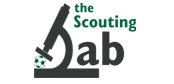 thescoutinglab